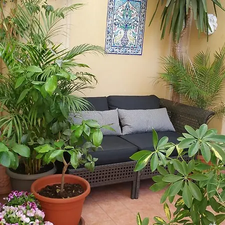 Centro Storico With Terrace Frühstückspension